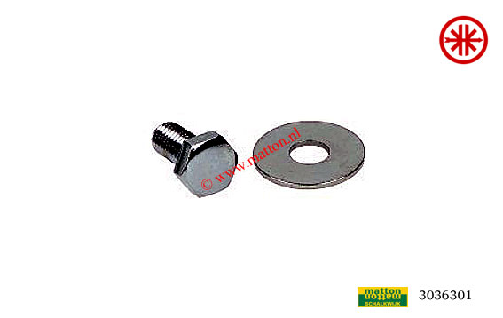 3036301 Bout met ring bovenplaat Kreidler chroom 3036301 Bout met ring bovenplaat Kreidler chroom