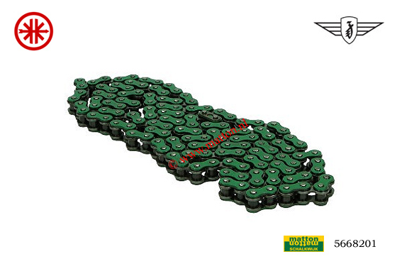 5668201 Chain 420x138 1/4 green