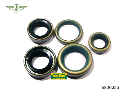 Oilsealsets